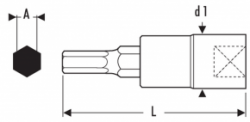 1/2" Hlavice  4 mm   6hranná zástrčná   TONA